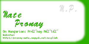 mate pronay business card